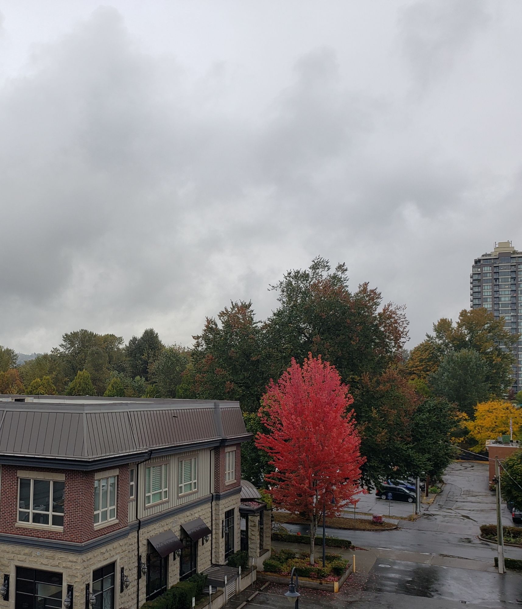 What Does It Mean to Face Cancer Without a Partner?