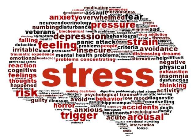 Understanding Silent Stress: Causes and Effects