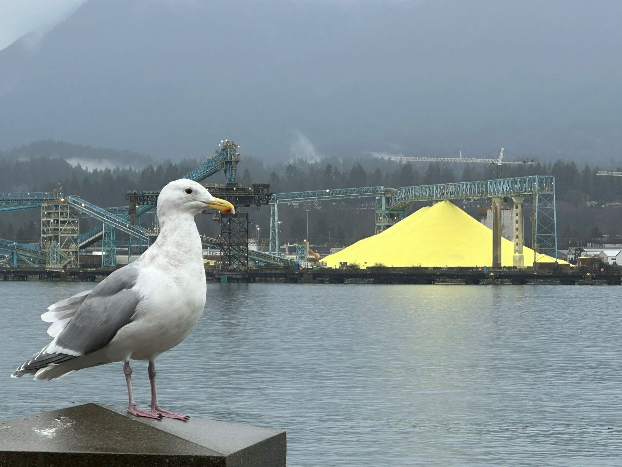 How to Ask for Help During Cancer When You’re Used to Doing It Alone ?